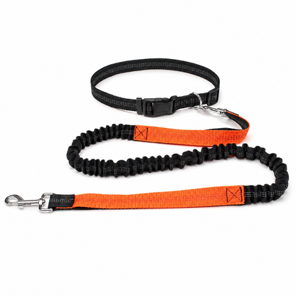 Furkly Hands-Free Dog Leash – Adjustable Waist Belt Leash with Bungee Lead for Walking, Running & Jogging