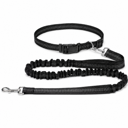 Furkly Hands-Free Dog Leash – Adjustable Waist Belt Leash with Bungee Lead for Walking, Running & Jogging