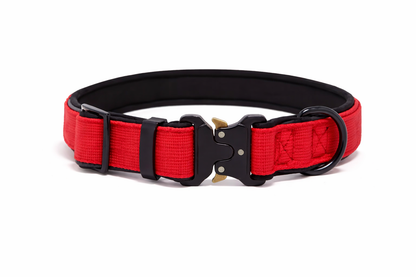 Furkly Heavy-Duty Tactical Dog Collar – Wide Adjustable Nylon Collar with Metal Buckle for Walking, Training & Outdoor Use