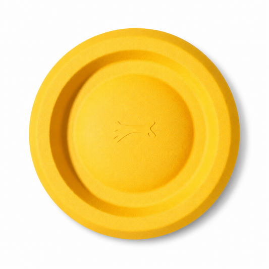 Furkly Dog Flying Disc Toy – 21cm Durable Fetch Frisbee for Outdoor Play, Training & Interactive Exercise
