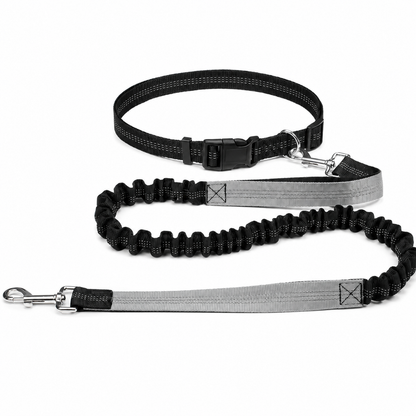 Furkly Hands-Free Dog Leash – Adjustable Waist Belt Leash with Bungee Lead for Walking, Running & Jogging