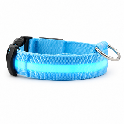 Furkly LED Dog Collar – Rechargeable Light-Up Safety Collar for Night Walking, Visibility & Outdoor Use
