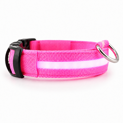 Furkly LED Dog Collar – Rechargeable Light-Up Safety Collar for Night Walking, Visibility & Outdoor Use