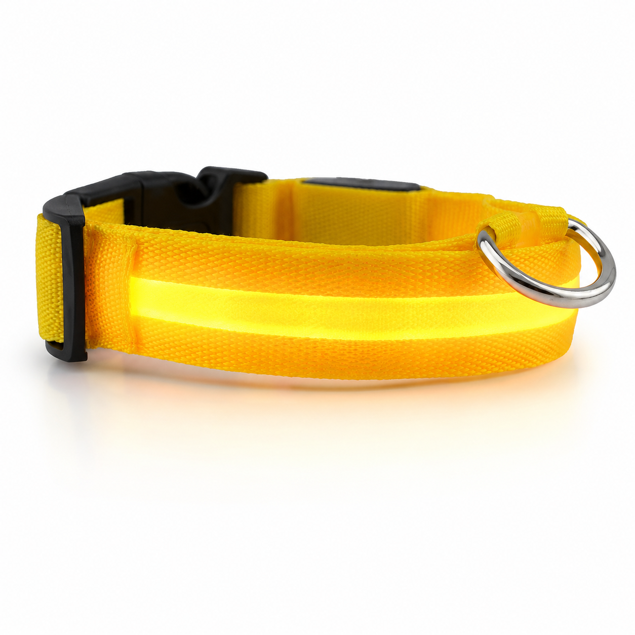 Furkly LED Dog Collar – Rechargeable Light-Up Safety Collar for Night Walking, Visibility & Outdoor Use