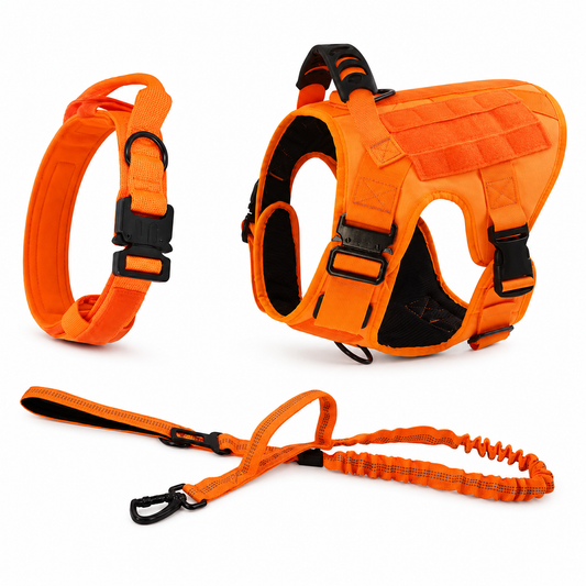 Furkly Orange Dog Harness and Leash Set – Adjustable No-Pull Harness, Collar & Bungee Leash for Walking, Training & Outdoor Use